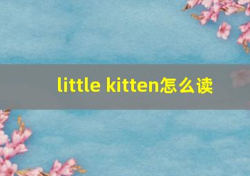 little kitten怎么读